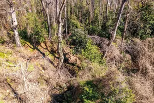 528 N Alexander Ave, Washington, GA 30673 - Photo 39