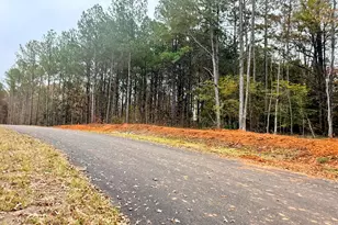 Lot 10 Rolling Meadows Way, Waverly Hall, GA 31831 - Photo 7