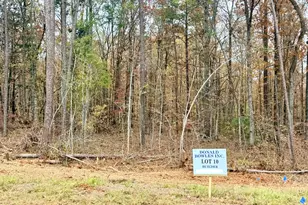 Lot 10 Rolling Meadows Way, Waverly Hall, GA 31831 - Photo 3