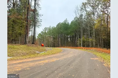 Lot 10 Rolling Meadows Way, Waverly Hall, GA 31831 - Photo 5