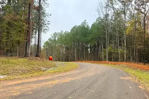 Lot 10 Rolling Meadows Way, Waverly Hall, GA 31831 - Photo 5