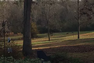 337 Lake Front Rd, Canon, GA 30520 - Photo 7