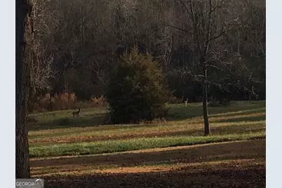 337 Lake Front Road, Canon, GA 30520 - Photo 9