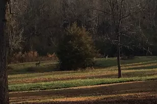 337 Lake Front Rd, Canon, GA 30520 - Photo 9