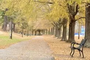 Lot 11 Rolling Meadows Way, Waverly Hall, GA 31831 - Photo 11