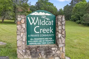 115 Wildcat Run, Suches, GA 30572 - Photo 57