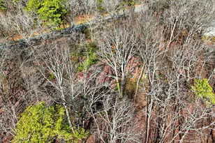 1752 Hwy 2, Cohutta, GA 30710 - Photo 15