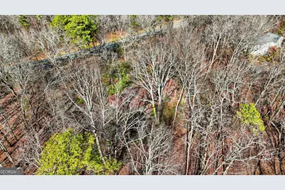 1752 Highway 2, Cohutta, GA 30710 - Photo 13