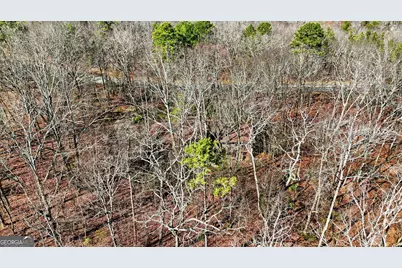 1752 Highway 2, Cohutta, GA 30710 - Photo 11