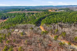 1752 Hwy 2, Cohutta, GA 30710 - Photo 17