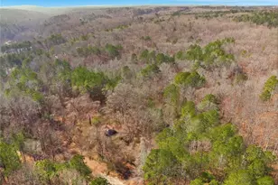 3013 N McKoy Rd, Villa Rica, GA 30180 - Photo 1