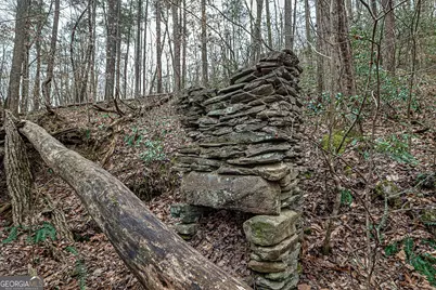 Tbd Trout Farm Road, Talking Rock, GA 30175 - Photo 27