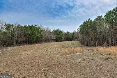Tbd Trout Farm Road, Talking Rock, GA 30175 - Photo 13