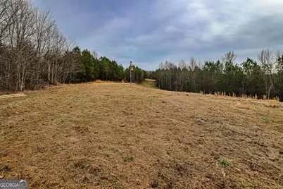 Tbd Trout Farm Road, Talking Rock, GA 30175 - Photo 3