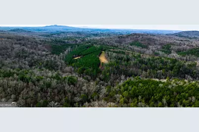 Tbd Trout Farm Road, Talking Rock, GA 30175 - Photo 21