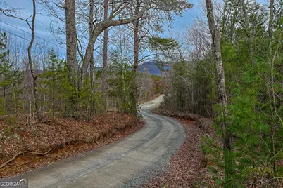 Tbd Trout Farm Road, Talking Rock, GA 30175 - Photo 43