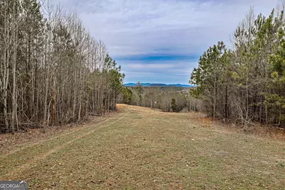 Tbd Trout Farm Road, Talking Rock, GA 30175 - Photo 9