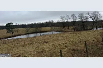 3399 Stateline Road, Bowdon, GA 30108 - Photo 3
