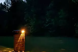 295 Berkeley Rd, Carlton, GA 30627 - Photo 43