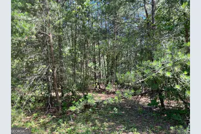 Lot 46 A Licklog Ridge, Hayesville, NC 28904 - Photo 3