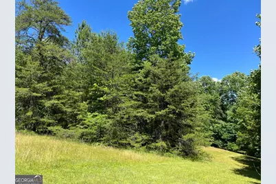 Lot 46 A Licklog Ridge, Hayesville, NC 28904 - Photo 9