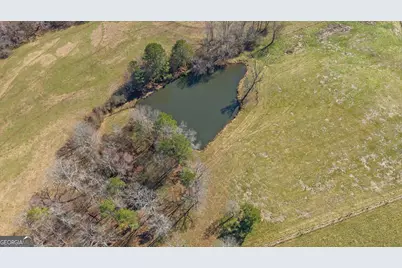 585 Sardis Bethel Road, Bowdon, GA 30108 - Photo 19