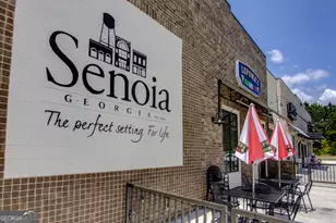 120 Redhaven Dr, Senoia, GA 30276 - Photo 33