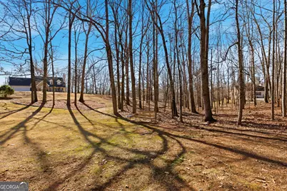 149 Tall Oaks Drive, Alto, GA 30510 - Photo 51