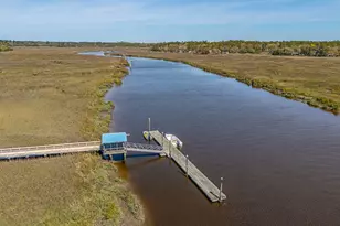 1056 Fiddler Trace NE, Townsend, GA 31331 - Photo 41