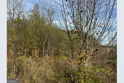 567 George W Towns Road, Talbotton, GA 31827 - Photo 3