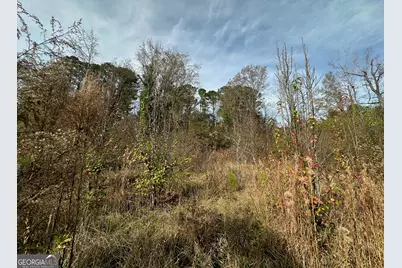 567 George W Towns Road, Talbotton, GA 31827 - Photo 1