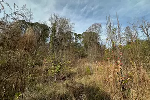 567 George W Towns Rd, Talbotton, GA 31827 - Photo 1