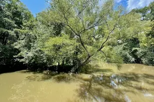 837 Linger Long Rd, Sylvania, GA 30467 - Photo 19