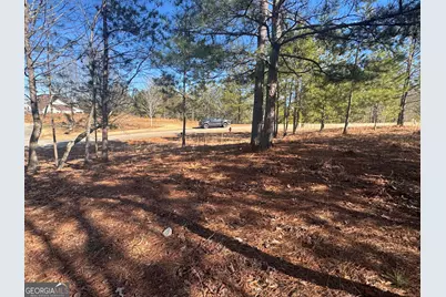 1541 Currahee Club Drive, Toccoa, GA 30577 - Photo 3