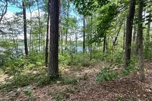 0 W Hwy 34, Newnan, GA 30263 - Photo 1