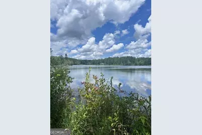 0 W Highway 34, Newnan, GA 30263 - Photo 3