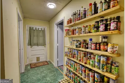 1895 Alton Green Drive NE, Monroe, GA 30656 - Photo 21