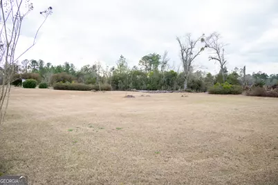 963 Springhill Church Road, Alamo, GA 30411 - Photo 75