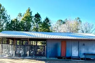 963 Springhill Church Rd, Alamo, GA 30411 - Photo 71