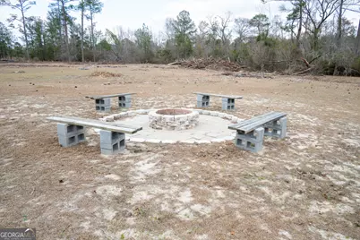 963 Springhill Church Road, Alamo, GA 30411 - Photo 81