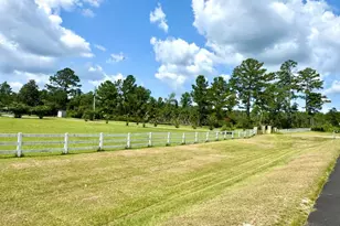 963 Springhill Church Rd, Alamo, GA 30411 - Photo 69