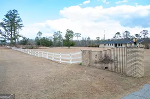 963 Springhill Church Rd, Alamo, GA 30411 - Photo 3