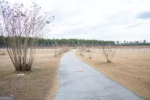 963 Springhill Church Rd, Alamo, GA 30411 - Photo 79