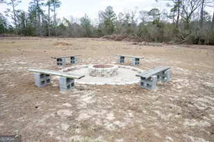 963 Springhill Church Rd, Alamo, GA 30411 - Photo 85