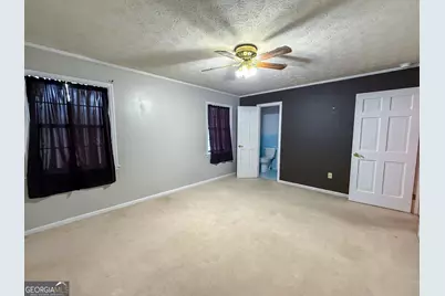 963 Springhill Church Road, Alamo, GA 30411 - Photo 25