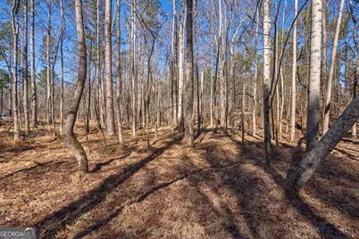0 Faust Farm Road, Crawford, GA 30630 - Photo 25