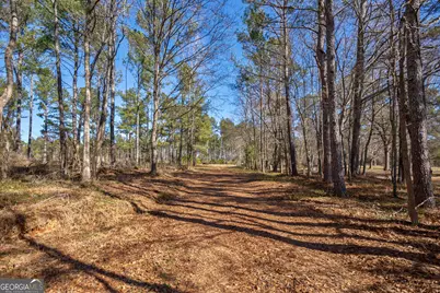 0 Faust Farm Road, Crawford, GA 30630 - Photo 31