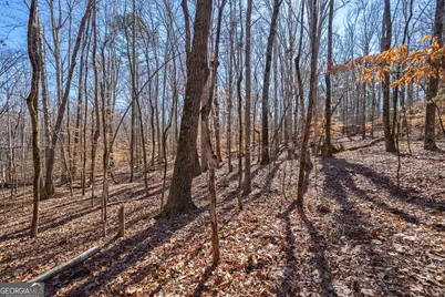 0 Faust Farm Road, Crawford, GA 30630 - Photo 27