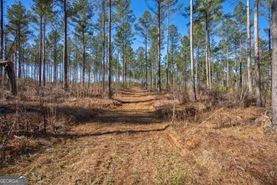 0 Faust Farm Road, Crawford, GA 30630 - Photo 7