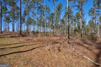 0 Faust Farm Road, Crawford, GA 30630 - Photo 9